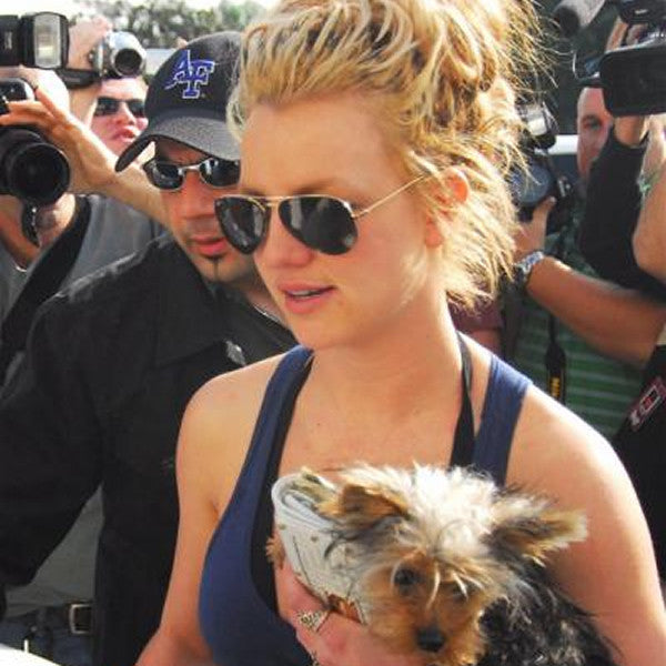 Britney spears sunglasses shop